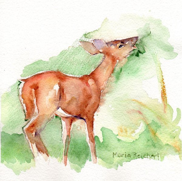 Олень цветными карандашами