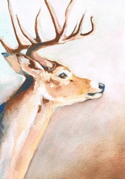 Очертание оленя акварелью