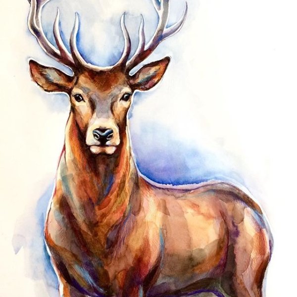Олень акварелью