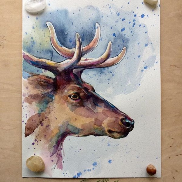 Лань акварелью