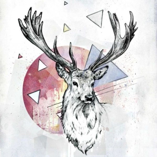 Дикие животные акварель