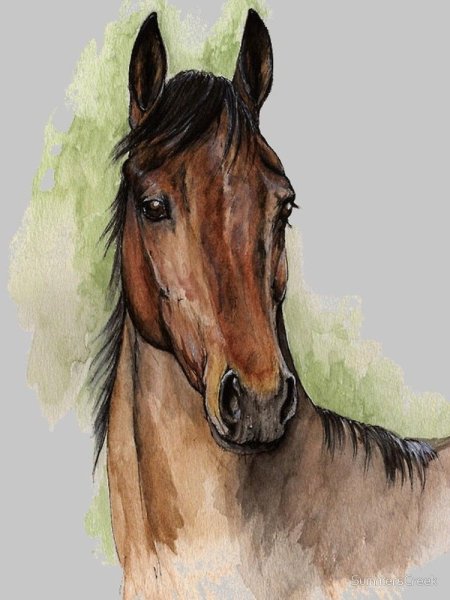 Лошадь гуашью