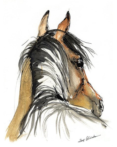 Лошадь набросок акварель