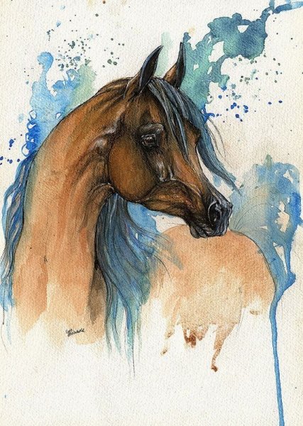 Лошади акварелью картины