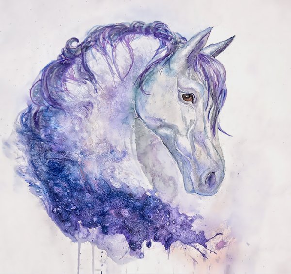 Нарисовать лошадь акварелью
