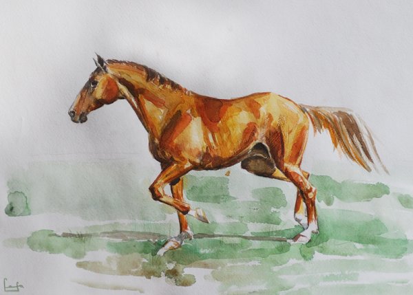 Лошадь акварелью