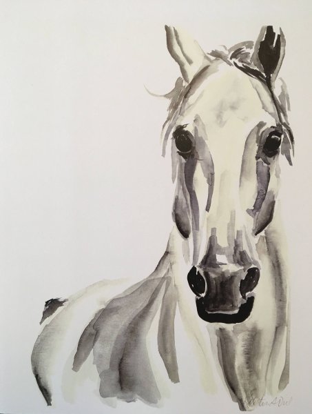 Лошадь акварельными карандашами