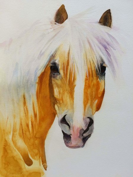 Кони акварель