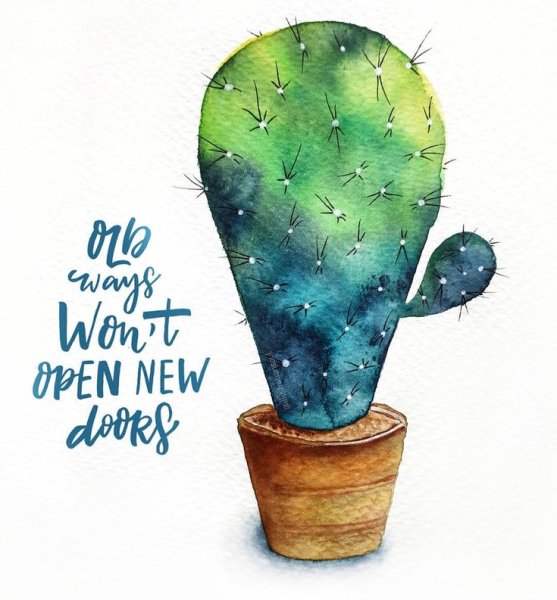 Кактус акварелью