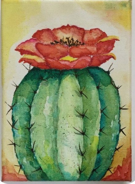Кактусы акварелью легкие