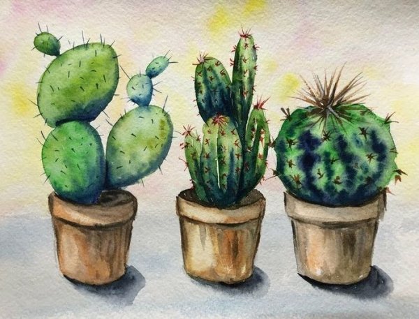 Кактус в горшке акварелью