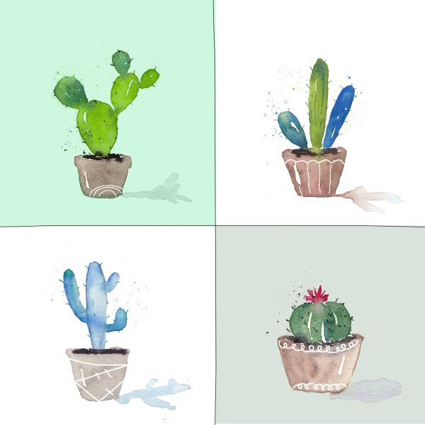 Кактус акварелью поэтапно