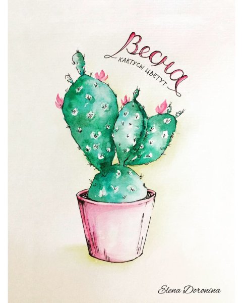 Скетчинг Кактус