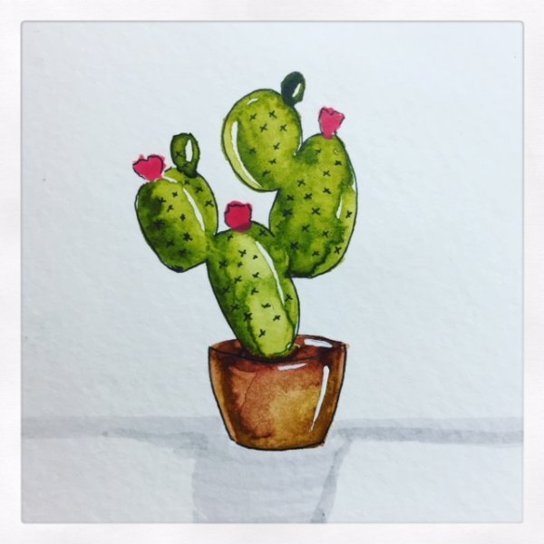 Акварель кактусы для детей