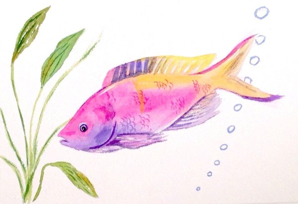 Рыбы акварелью для детей