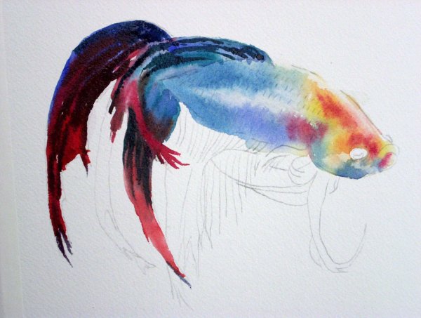 Рыбки гуппи акварелью