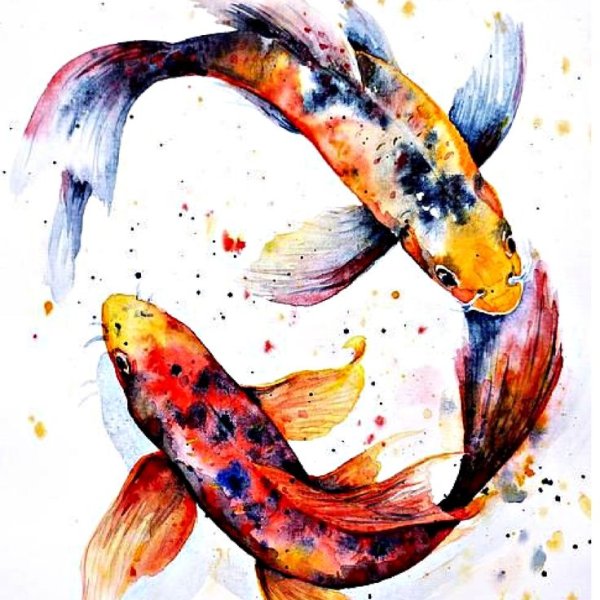 Арт кои акварель на белом