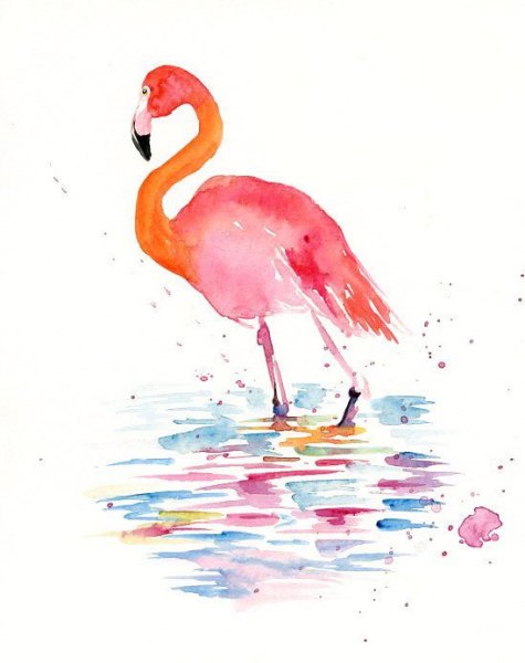 Фламинго акварелью