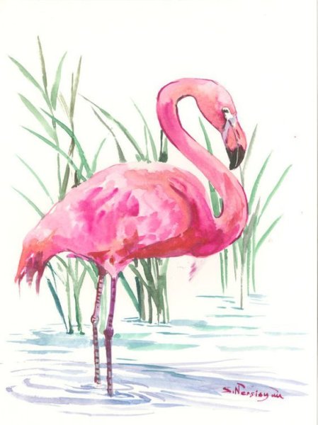 Фламинго акварелью легко