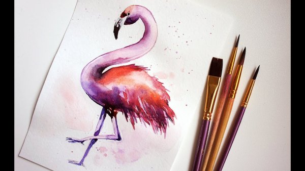 Фламинго красками акварелью
