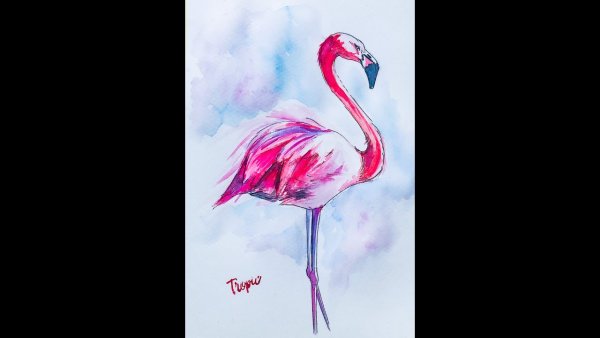 Розовый Фламинго акварель