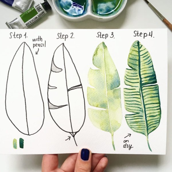 Туториал по рисованию акварелью