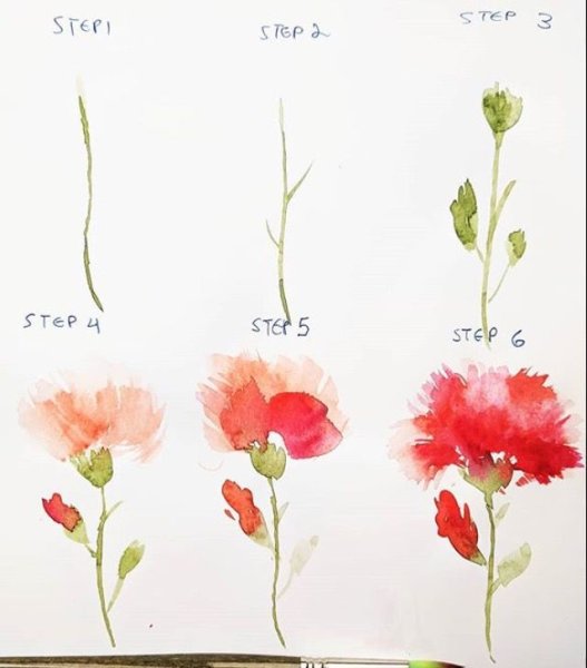Схемы рисования цветов акварелью