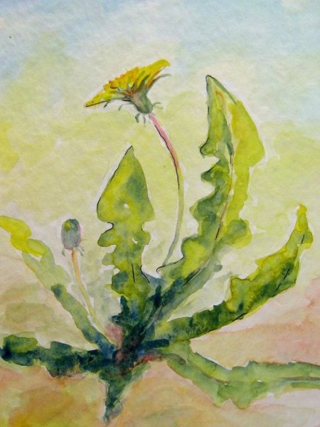 Лопух акварелью пленэр