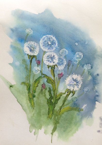 Одуванчиковое поле акварелью