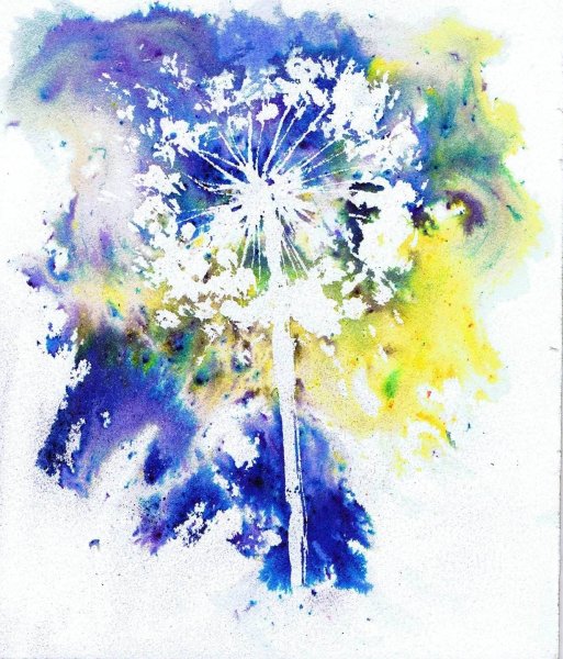 Одуванчики рисунок красками