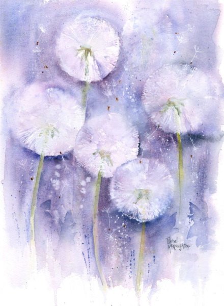 Рэйчел МАКНОТОН