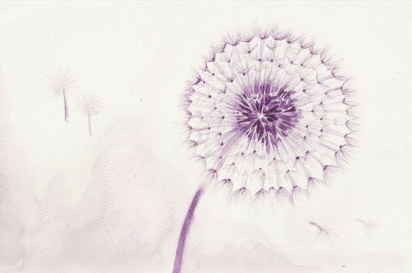 Одуванчики акварелью