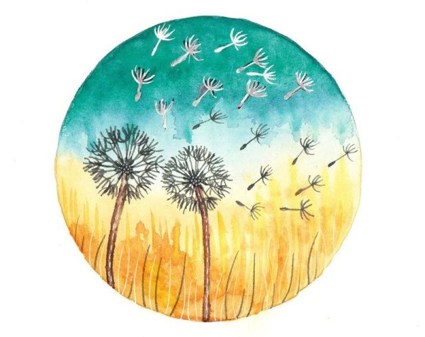 Рисование акварелью одуванчиков