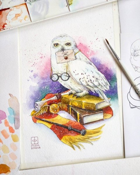 Скетч Сова Гарри Поттера