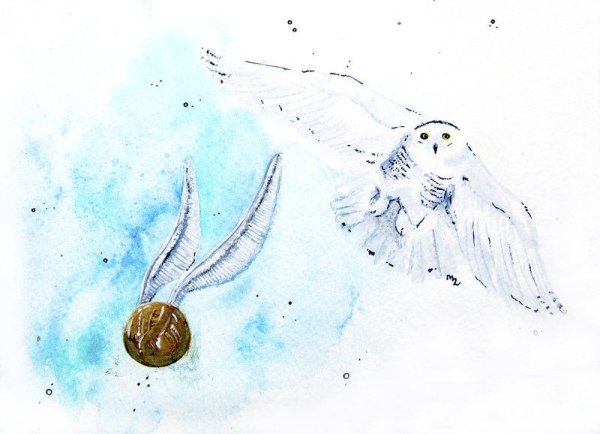 Букля Гарри Поттер