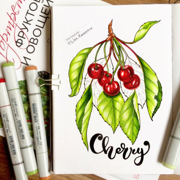 Фрукты скетч маркерами