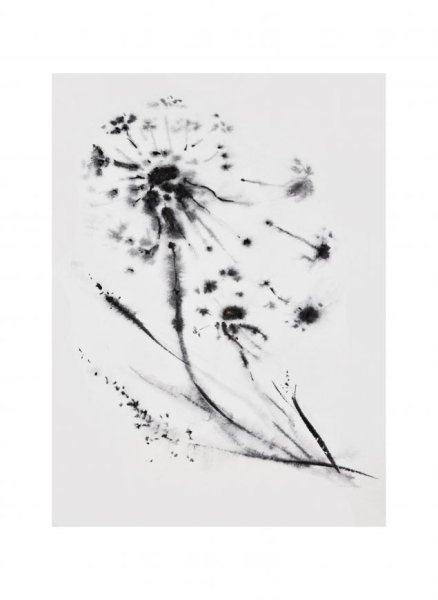 Рисунки акварелью