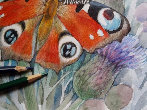 Акварель и цветные карандаши