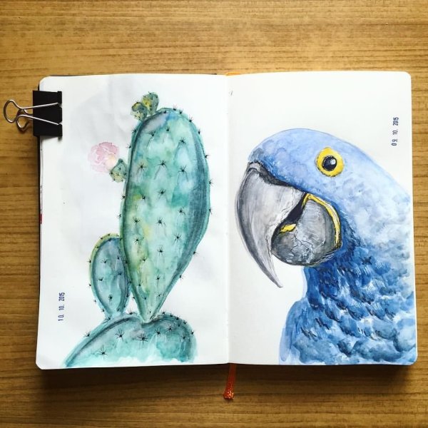 Рисунки для скетчбука лёгкие