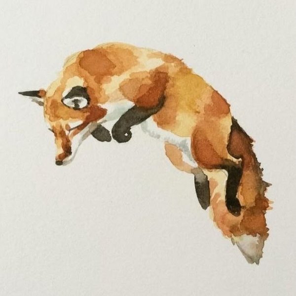 Акварельные зарисовки животных