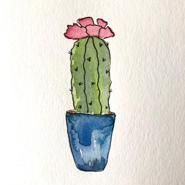 Кактус рисунок для срисовки