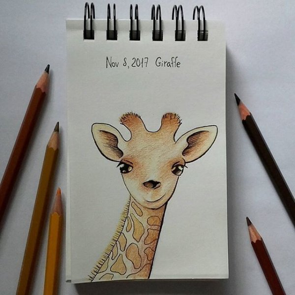 Животные для скетчбука