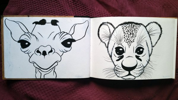 Рисунки для срисовки