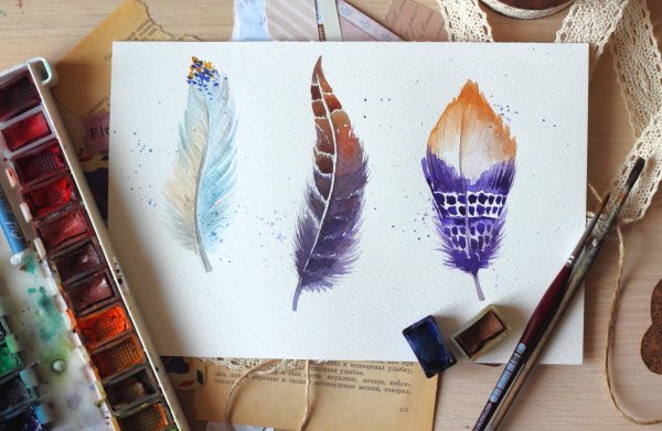 Уроки рисования акварельными карандашами