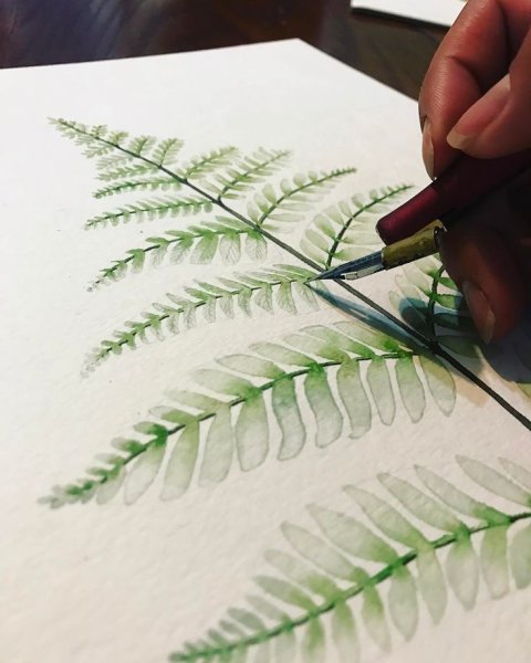 Папоротник акварель