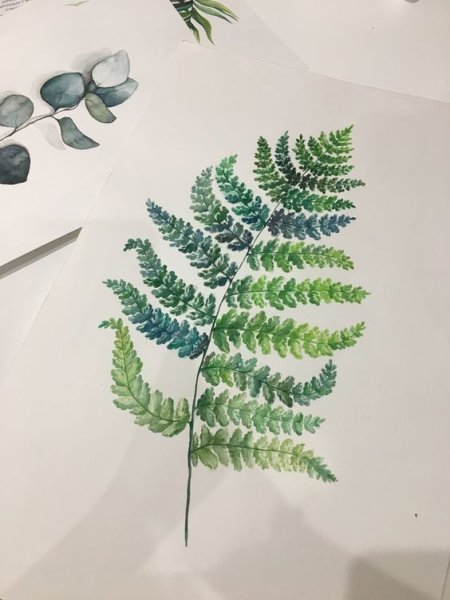 Папоротник картинка для детей