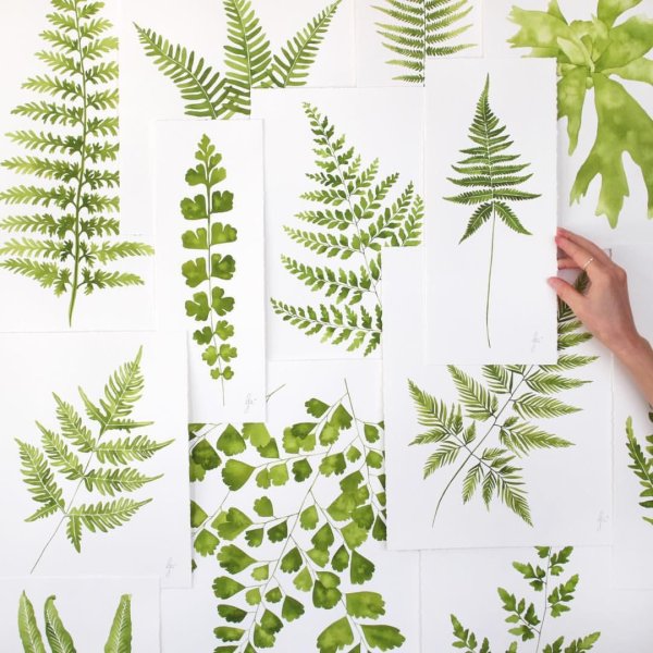 Акварельный папоротник