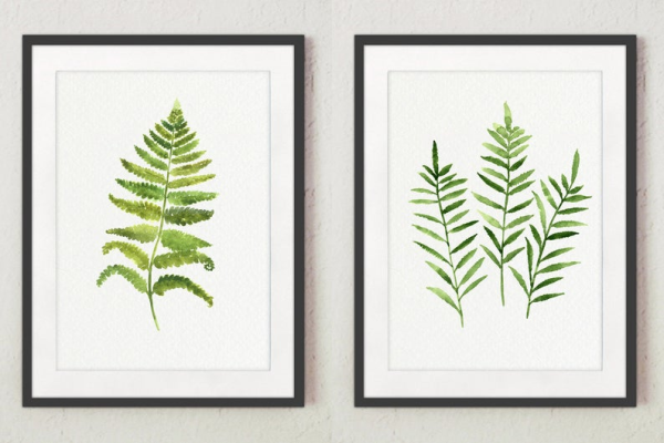 Цианотип папоротник