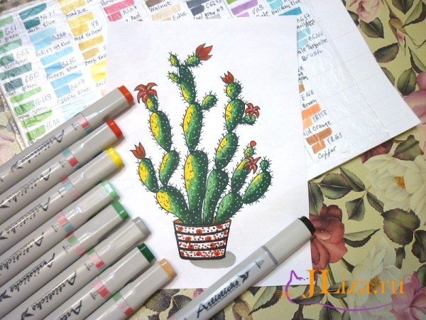 Кактус рисунок маркерами