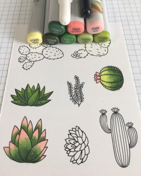 Кактусы разноцветные скетчи